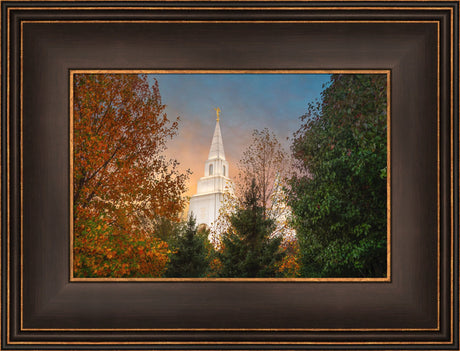 Kansas City Temple - Fall