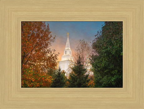 Kansas City Temple - Fall