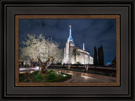 Rome Temple - Tree of Life