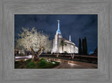 Rome Temple - Tree of Life