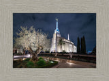 Rome Temple - Tree of Life