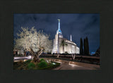 Rome Temple - Tree of Life