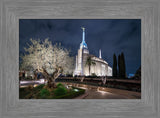 Rome Temple - Tree of Life