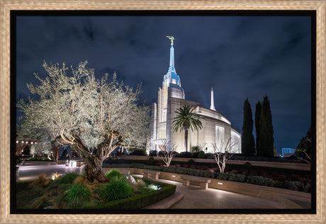 Rome Temple - Tree of Life