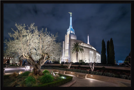 Rome Temple - Tree of Life