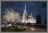 Rome Temple - Tree of Life