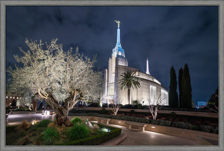 Rome Temple - Tree of Life