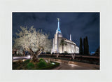 Rome Temple - Tree of Life