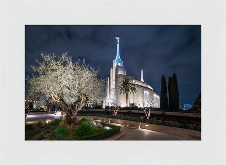 Rome Temple - Tree of Life