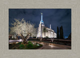 Rome Temple - Tree of Life