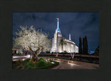 Rome Temple - Tree of Life