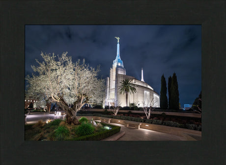 Rome Temple - Tree of Life