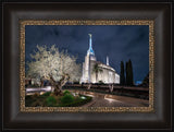Rome Temple - Tree of Life