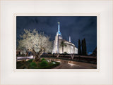 Rome Temple - Tree of Life