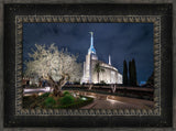 Rome Temple - Tree of Life