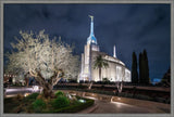 Rome Temple - Tree of Life