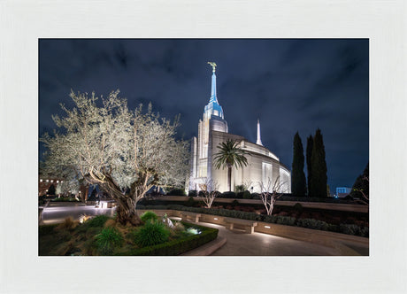 Rome Temple - Tree of Life