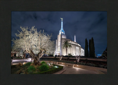 Rome Temple - Tree of Life