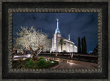 Rome Temple - Tree of Life