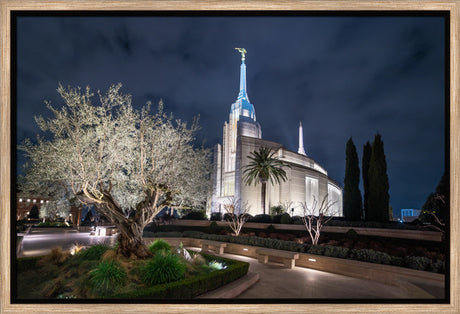 Rome Temple - Tree of Life