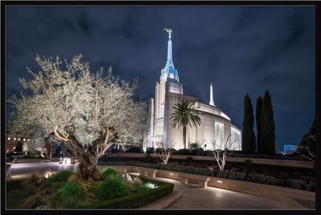 Rome Temple - Tree of Life