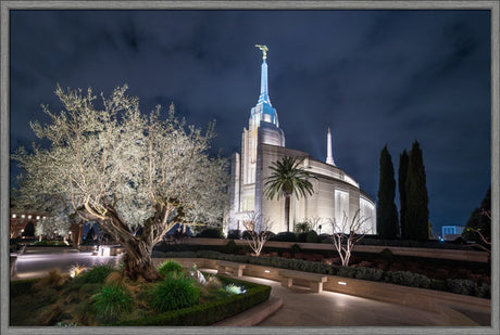 Rome Temple - Tree of Life