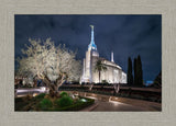 Rome Temple - Tree of Life