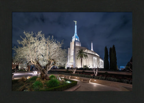 Rome Temple - Tree of Life
