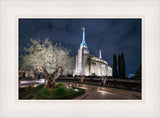 Rome Temple - Tree of Life