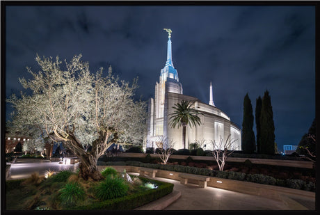 Rome Temple - Tree of Life