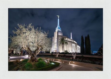 Rome Temple - Tree of Life