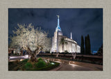 Rome Temple - Tree of Life