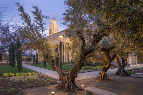 Feather River Temple - Evening Glow