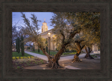 Feather River Temple - Evening Glow