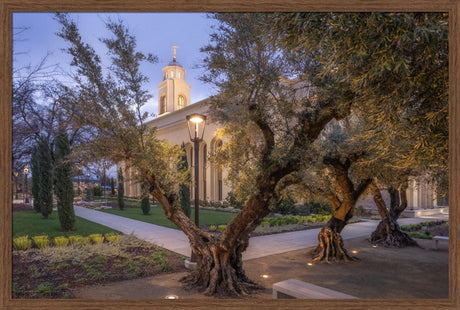 Feather River Temple - Evening Glow