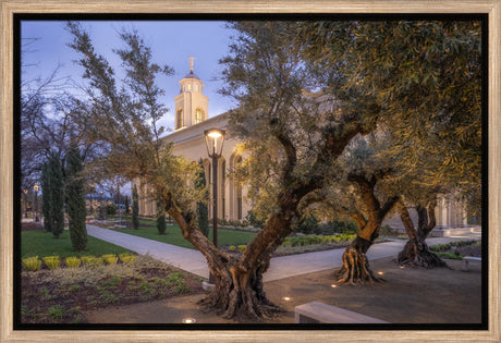 Feather River Temple - Evening Glow