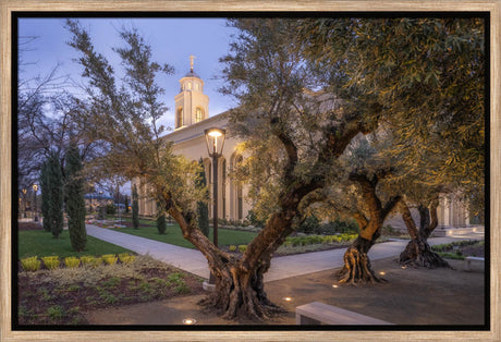 Feather River Temple - Evening Glow
