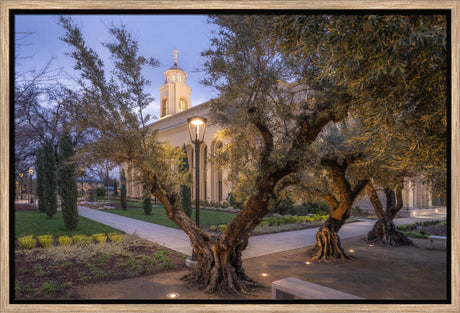 Feather River Temple - Evening Glow
