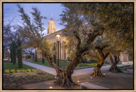 Feather River Temple - Evening Glow