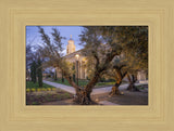 Feather River Temple - Evening Glow