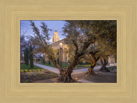 Feather River Temple - Evening Glow