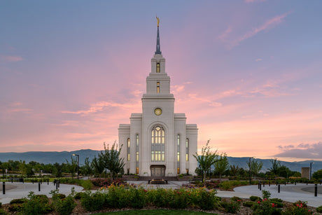 Layton Temple - Morning Light