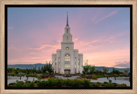 Layton Temple - Morning Light