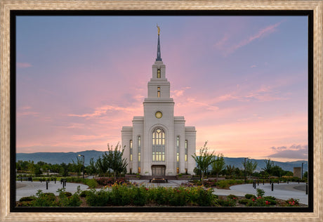 Layton Temple - Morning Light