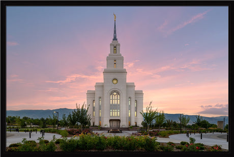 Layton Temple - Morning Light