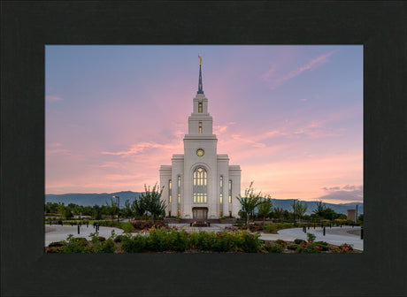 Layton Temple - Morning Light
