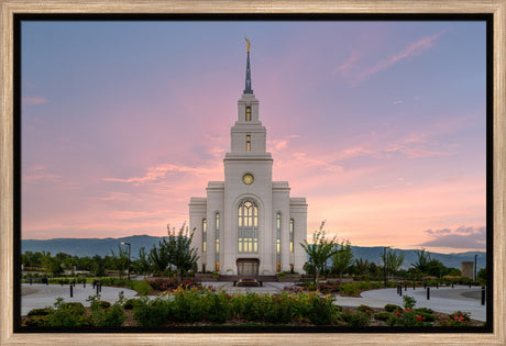 Layton Temple - Morning Light