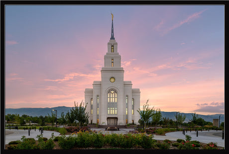 Layton Temple - Morning Light