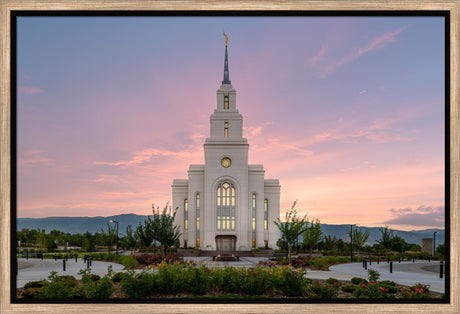 Layton Temple - Morning Light