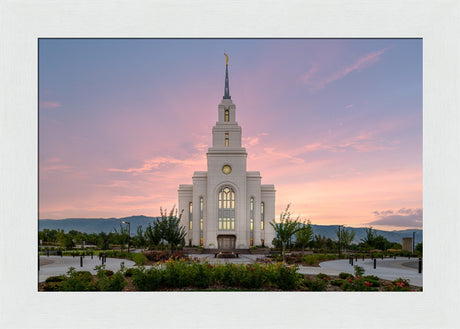 Layton Temple - Morning Light